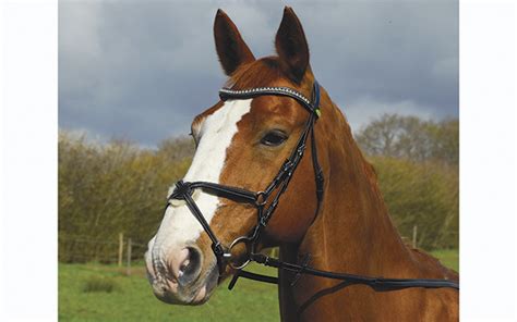 12 new horsey products to cheer up a rainy day - Horse & Hound