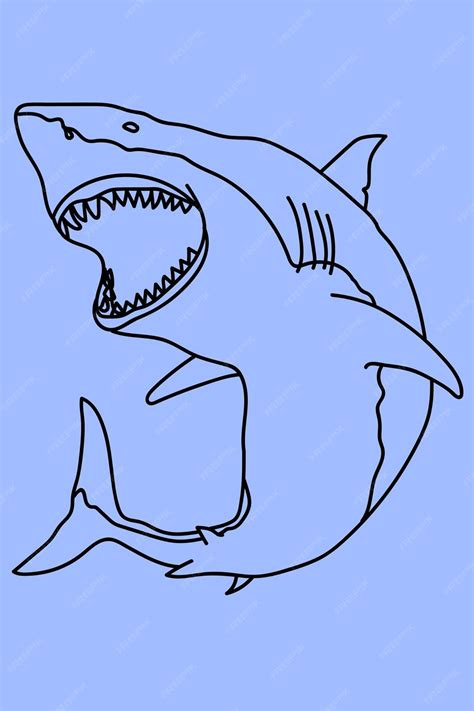 Premium Vector Sketch Shark Line Art