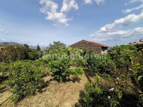 Terreno Agricolo Via Nunziata Piedimonte Mascali Rif