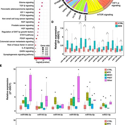 Mirna Profiling In Nens Tissue And Serum A Venn Diagram Comparing Mtc