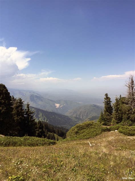 Trekking on Kok Zhailau, Three Brothers Mountain, Kumbel Peak