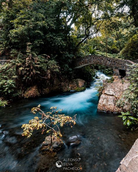 Uruapan Lugar Donde Todo Florece Descubre M Xico