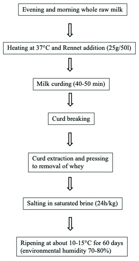 Figure From Implementation Of Ricotta Cheese Production, 44% OFF