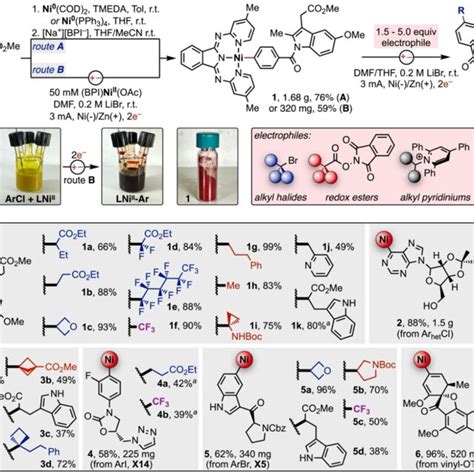 Synthesis And Reactivity Of Organonickel Complexes A Chemical And