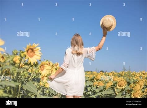 Beauty Sunlit Woman On Yellow Sunflower Field Freedom And Happiness