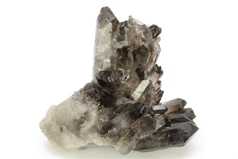 3 1 Dark Smoky Quartz Crystal Cluster Brazil 266158 For Sale