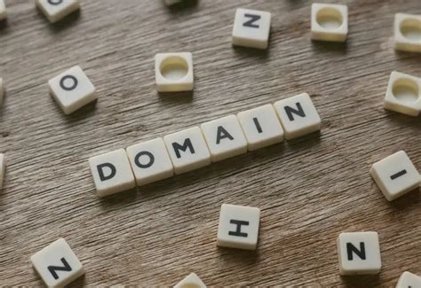 domain  fungsi jenis jenis  tips memilihnya