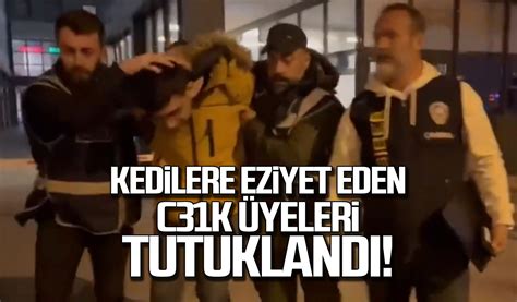 Kedilere eziyet eden C31K üyeleri tutuklandı