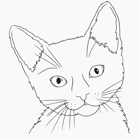 Cat Face Outline Vector Art, Icons, and Graphics for Free Download