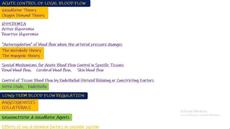 Introduction To Local Control Of Blood Flow Chapter Part Guyton