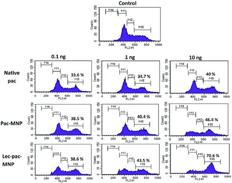 Cell Cycle Analysis Of K562 Cells After 24 H Of Treatment With Native Download Scientific