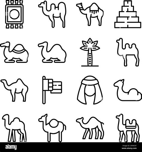 Camel Icons Set Outline Set Of Camel Vector Icons For Web Design