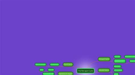 The Nitrogen Cycle | MindMeister Mind Map