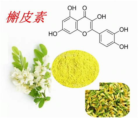 Mkule带你认识被小看的天然化合物－槲皮素 哔哩哔哩