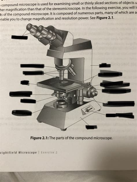 Microscope Anatomy Diagram Quizlet