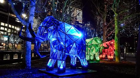 Winter Lights At Canary Wharf 2025 Season Chanda Hedvige