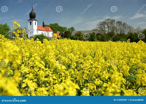 Church In Yellow Field Stock Image Image Of Cemetery 31099287