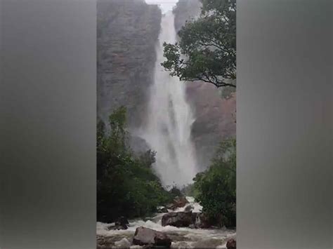 Telangana: Over 40 tourists stranded at Muthyala Dhara waterfalls in Mulugu