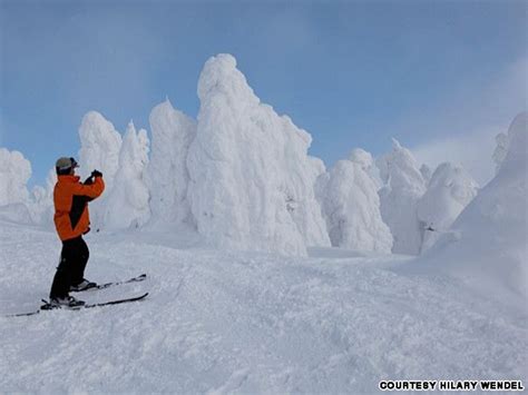 Weird "snow monsters" in Japan. They are actually Aomori fir trees ...