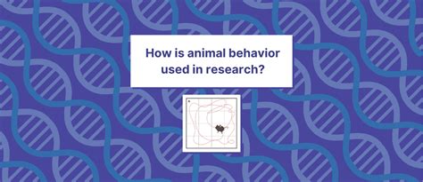 How is animal behavior used in research? – TESS Research Foundation