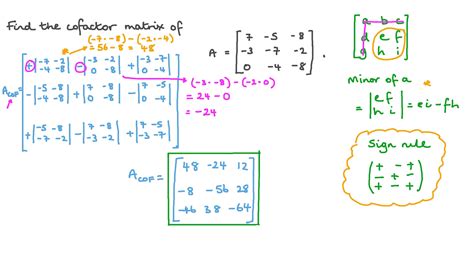 Question Video Finding The Cofactor Of A Matrix Nagwa