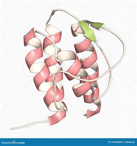 Matrix Metalloproteinase Mmp Macrophage Elastase Enzyme Mmps