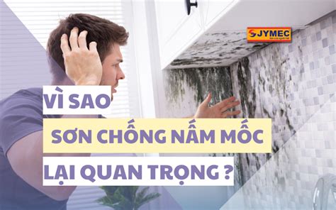 Vì sao sơn chống nấm mốc lại quan trọng