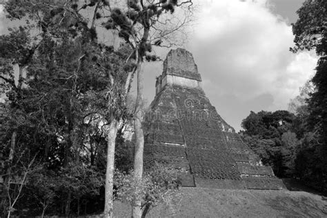 El Sitio Arqueológico De La Civilización Maya Precolombina En Tikal