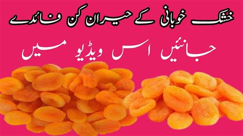 Khushk Khubani Ke Fayde Benefits Of Dried Apricots Villy