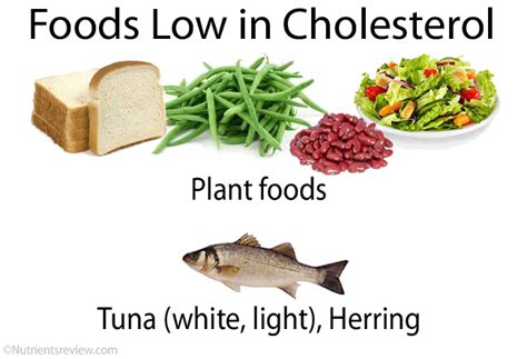 Cholesterol Foods Chart