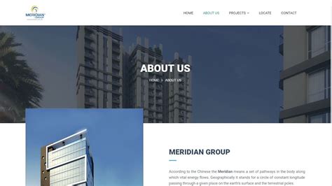 Meridian Group Incfrog