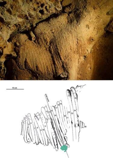 La Grotte Fran Aise De La Roche Cotard Accueillerait Les Plus Anciennes