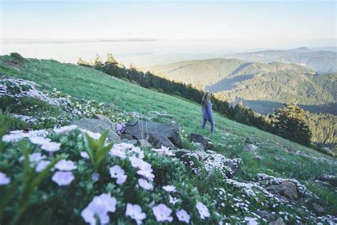 Explore the Stunning Hiking Trails in Willamette Valley