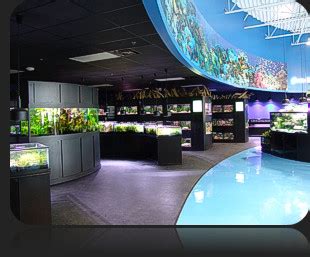 Aquarium Adventure :: Franchise Opportunities