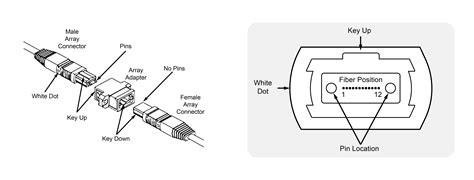 Basics of MTP/MPO Cables - Prolabs