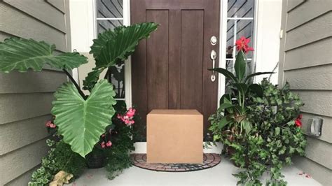 Luckiest Feng Shui Plants For Front Door