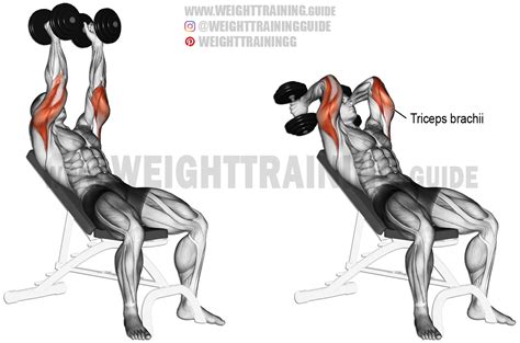 Incline Dumbbell Triceps Extension Exercise Instructions And Video