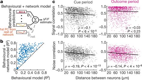 Spatial Organization Of Signal And Noise Correlations In Vta Da Neuron