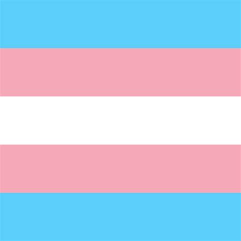 Printable Country Flag Of Transgender Pride Circle Vector Country