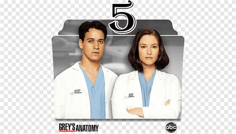 Serie De Grey Anatomy Y Los Iconos De Carpeta De Temporada Grey S