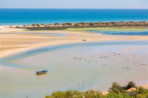 What Are Estuaries? - Coastal Waters Where Rivers Meet Sea