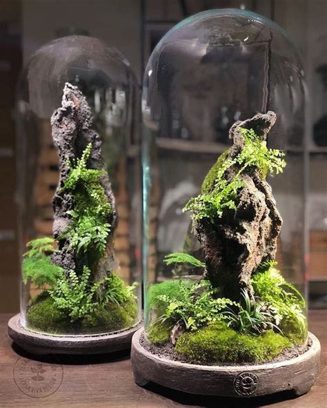 Terrariums Beautiful Enclosed Gardens You Can Build At Home Artofit