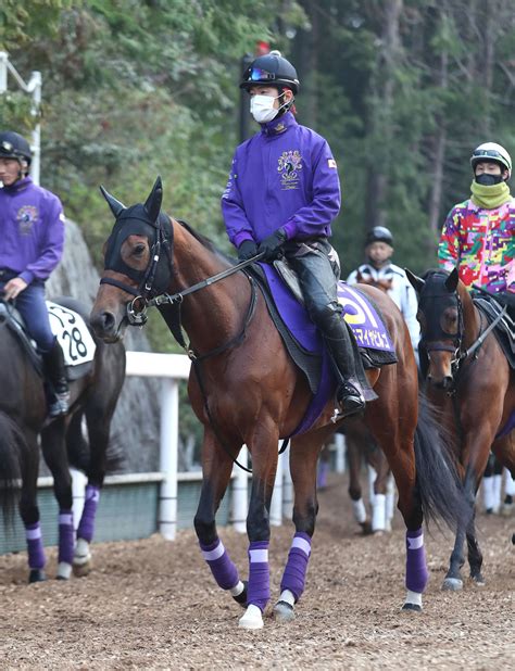 6億円馬アドマイヤビルゴ「ベストの距離」／大阪杯｜極ウマ・プレミアム