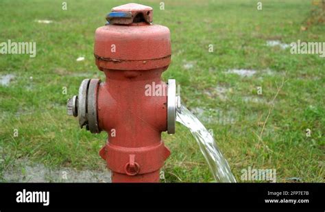 Detail Of Open Fire Hydrant Water Flowing On Grass Static Blur