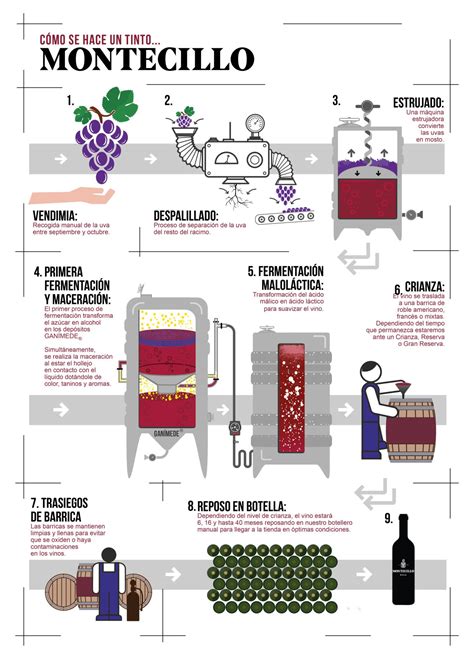 Diagrama De Flujo Del Proceso De Elaboracion De Vino Tinto Images