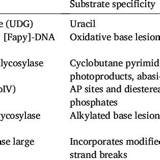 Restriction enzyme recognition sites. | Download Scientific Diagram