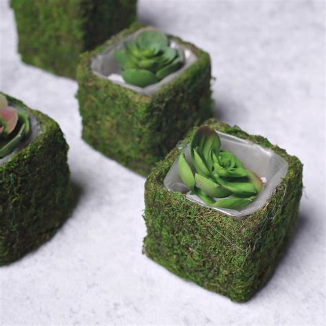 Square Preserved Moss Planter Boxes, Moss Covered Flower Basket Planter