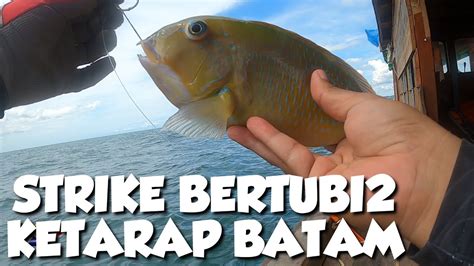 Strike Ketarap Bertubi Di Batam Vlog Batam Fishing Trip Day