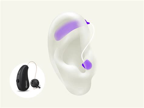 Receiver In Canal Ric Hearing Aids Styles Brands And Benefits