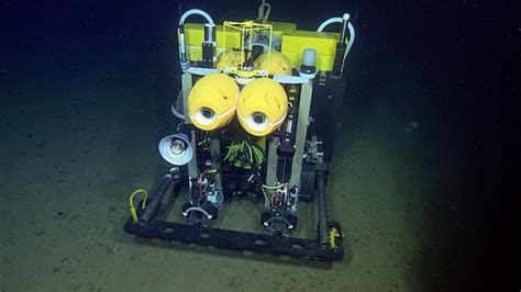 Autonomous Deep Sea Rover Provides New Insight Into Life On Abyssal